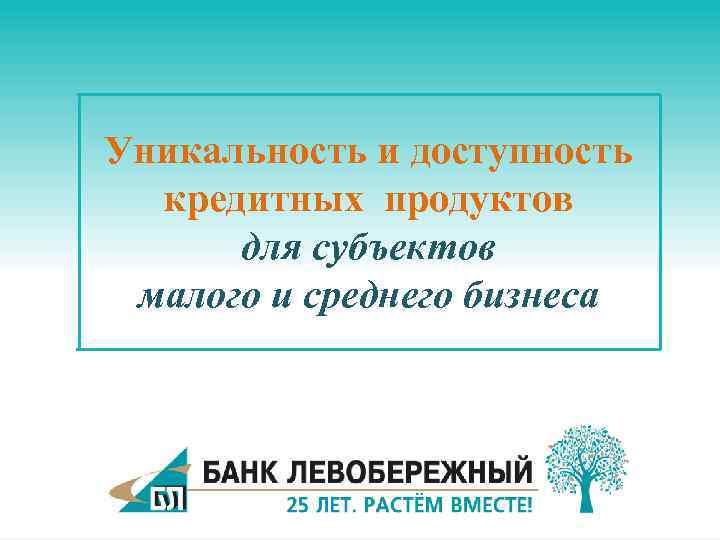 Уникальность и доступность кредитных продуктов для субъектов малого и среднего бизнеса 