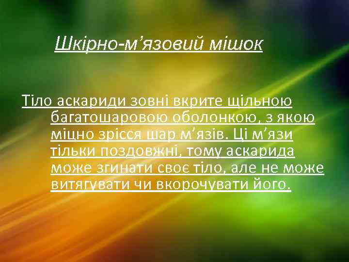 Шкірно м’язовий мішок Тіло аскариди зовні вкрите щільною багатошаровою оболонкою, з якою міцно зрісся