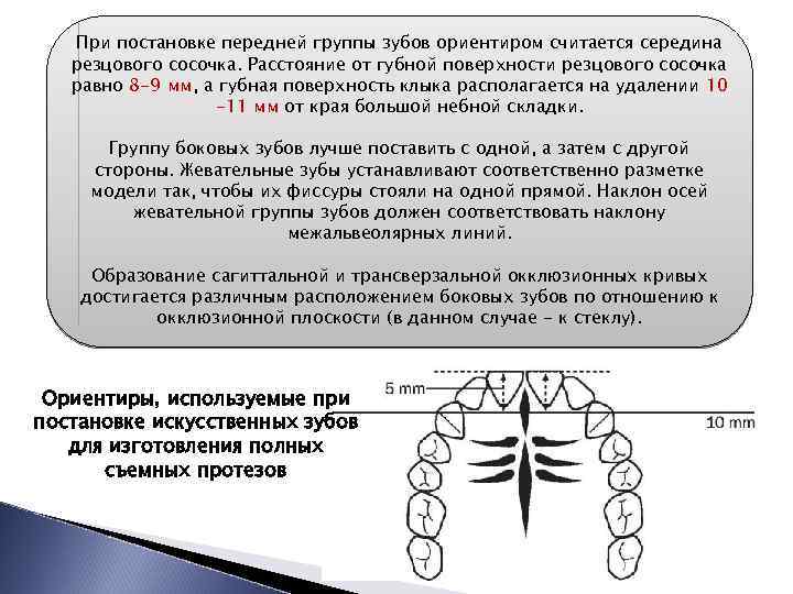 Какая из структурных элементов конституции обычно содержит схемы образцы различные перечни