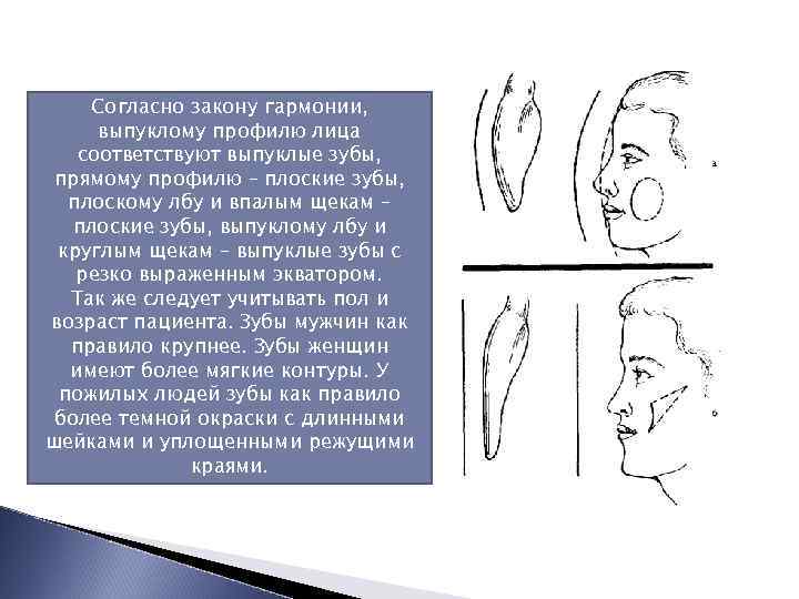 Согласно закону гармонии, выпуклому профилю лица соответствуют выпуклые зубы, прямому профилю – плоские зубы,