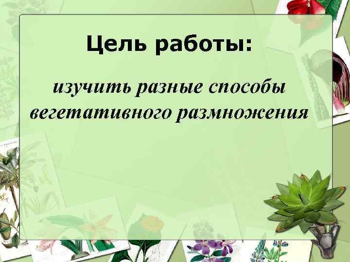 Цель работы: изучить разные способы вегетативного размножения 