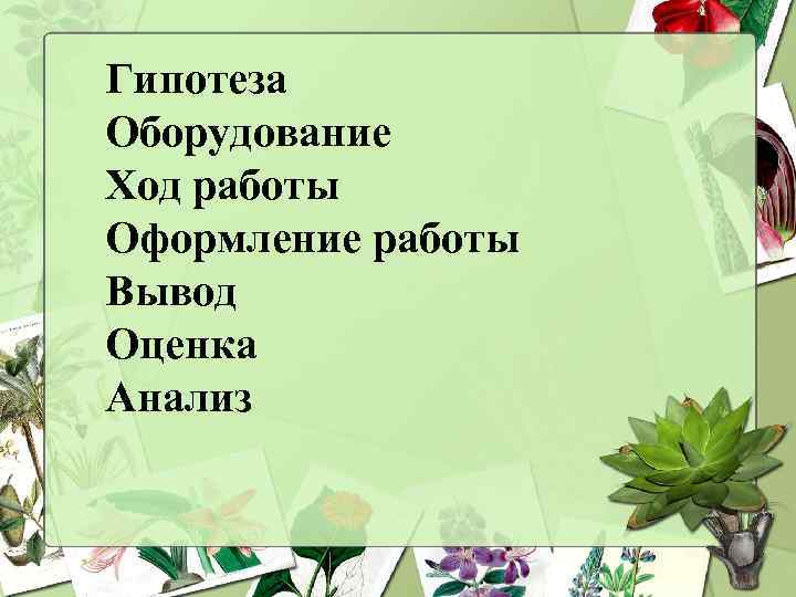 Гипотеза Оборудование Ход работы Оформление работы Вывод Оценка Анализ 