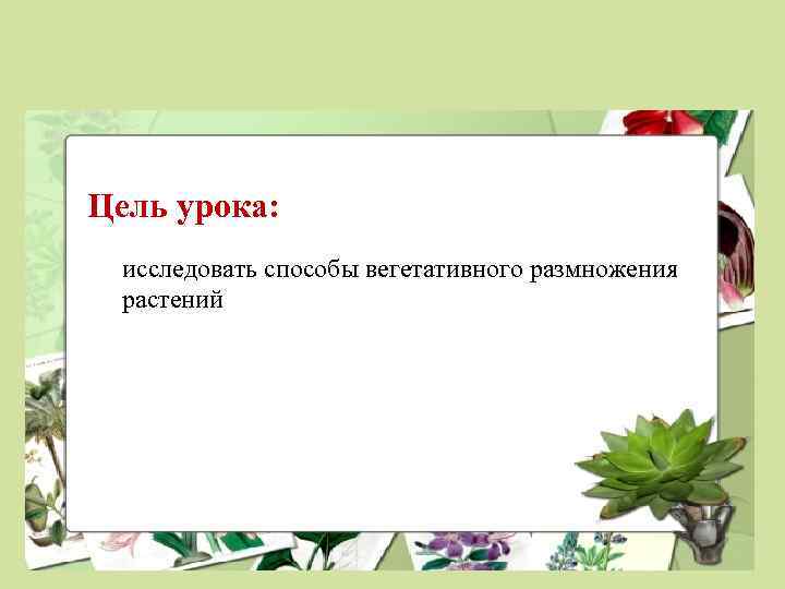 Цель урока: исследовать способы вегетативного размножения растений 