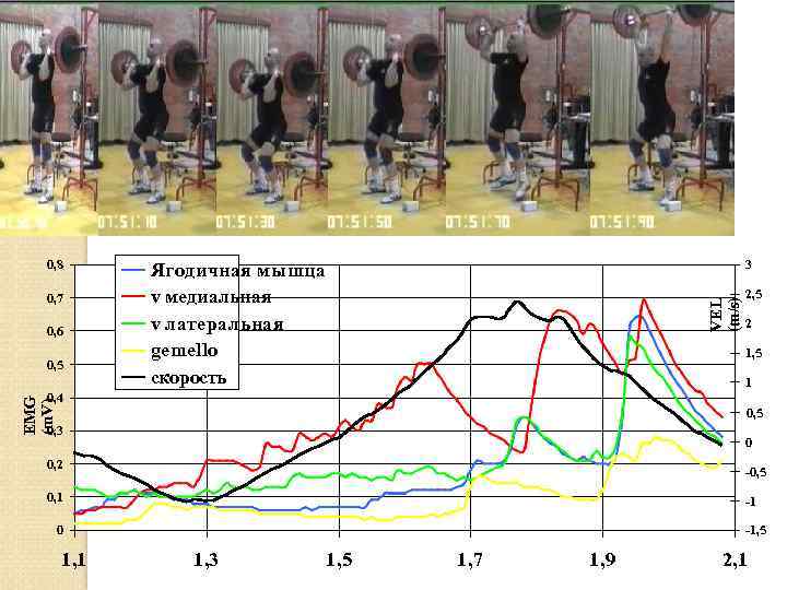 0, 7 0, 6 0, 5 3 Ягодичная мышца v медиальная v латеральная gemello
