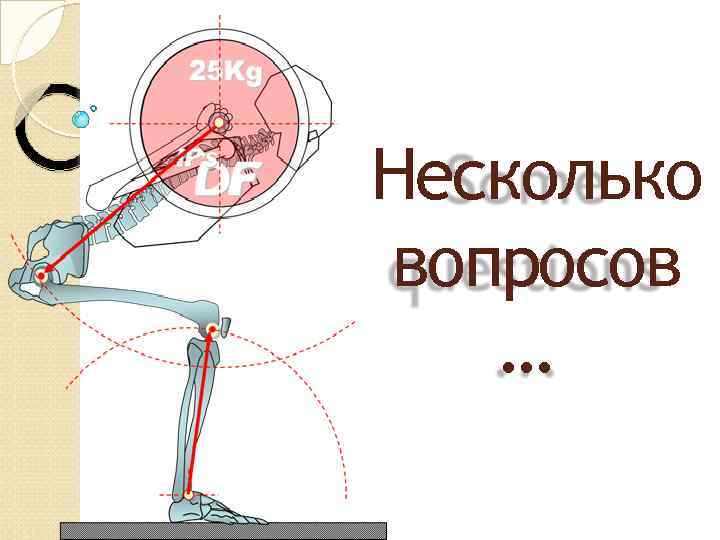 Несколько вопросов … 