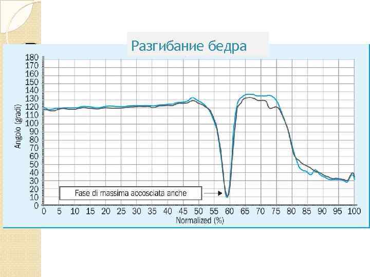 Разгибание бедра 