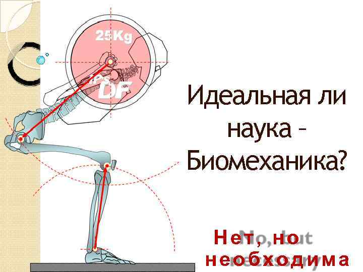 Идеальная ли наука – Биомеханика? Нет, но необходима 