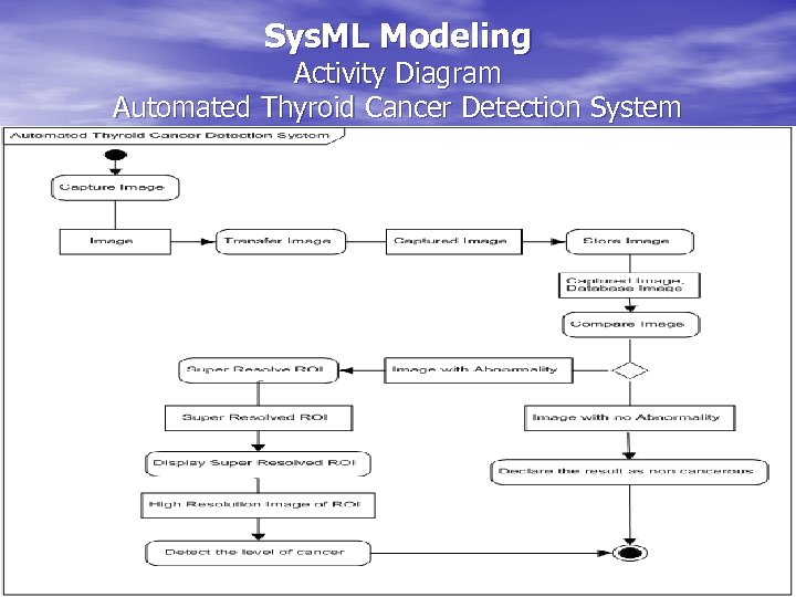 Sys. ML Modeling Activity Diagram Automated Thyroid Cancer Detection System 