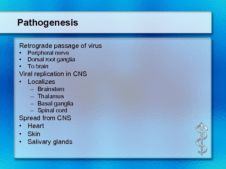 Pathogenesis Retrograde passage of virus • • • Peripheral nerve Dorsal root ganglia To