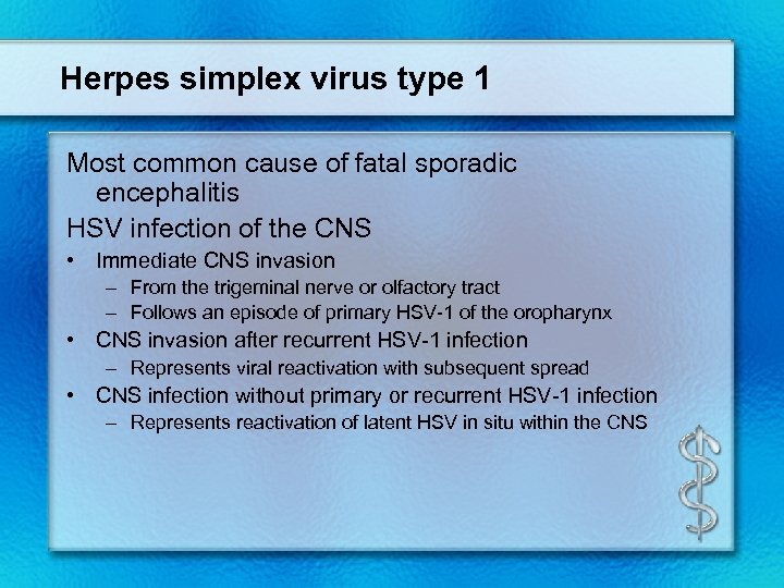 Herpes simplex virus type 1 Most common cause of fatal sporadic encephalitis HSV infection