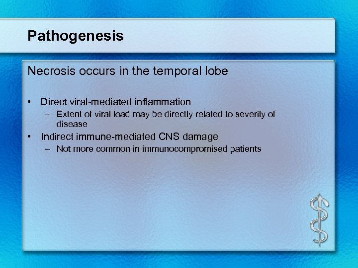 Pathogenesis Necrosis occurs in the temporal lobe • Direct viral-mediated inflammation – Extent of