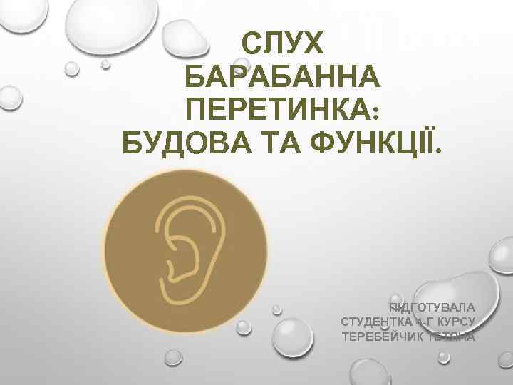 СЛУХ БАРАБАННА ПЕРЕТИНКА: БУДОВА ТА ФУНКЦІЇ. ПІДГОТУВАЛА СТУДЕНТКА 4 -Г КУРСУ ТЕРЕБЕЙЧИК ТЕТЯНА 