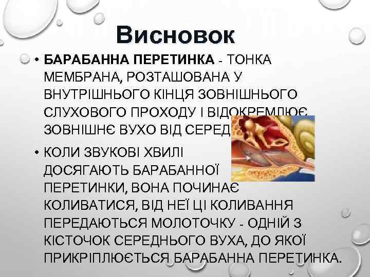 Висновок • БАРАБАННА ПЕРЕТИНКА - ТОНКА МЕМБРАНА, РОЗТАШОВАНА У ВНУТРІШНЬОГО КІНЦЯ ЗОВНІШНЬОГО СЛУХОВОГО ПРОХОДУ