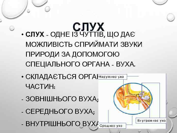 СЛУХ ЩО ДАЄ • СЛУХ - ОДНЕ ІЗ ЧУТТІВ, МОЖЛИВІСТЬ СПРИЙМАТИ ЗВУКИ ПРИРОДИ ЗА