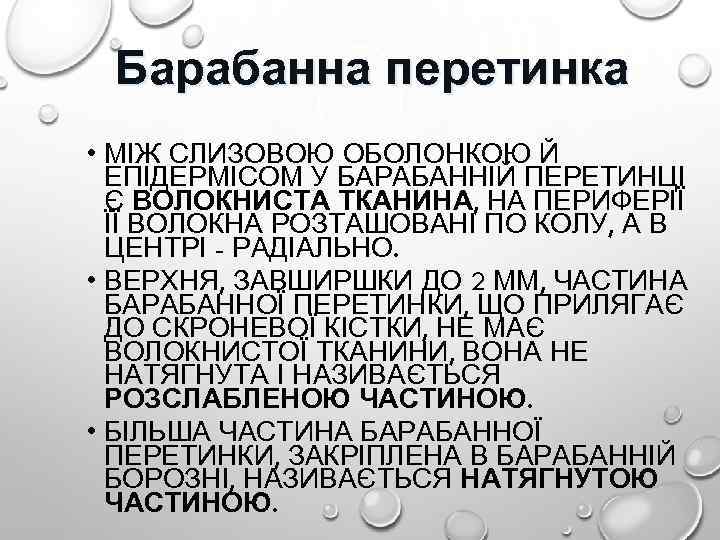 Барабанна перетинка • МІЖ СЛИЗОВОЮ ОБОЛОНКОЮ Й ЕПІДЕРМІСОМ У БАРАБАННІЙ ПЕРЕТИНЦІ Є ВОЛОКНИСТА ТКАНИНА,