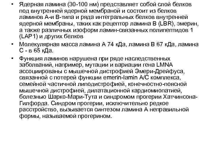  • Ядерная ламина (30 -100 нм) представляет собой слой белков под внутренней ядерной