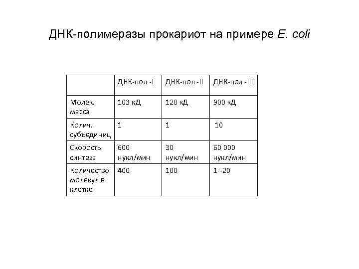 ДНК-полимеразы прокариот на примере E. coli ДНК-пол -III 103 к. Д 120 к. Д