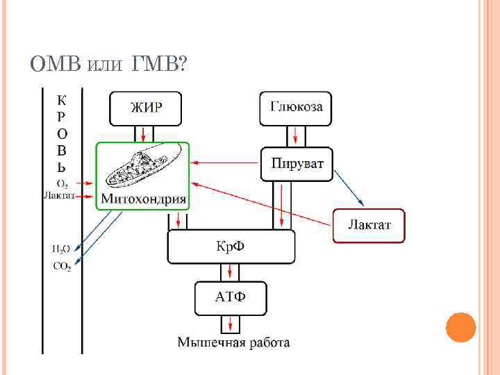 ОМВ ИЛИ ГМВ? 