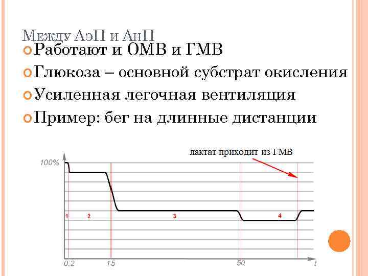 МЕЖДУ АЭП И АНП Работают и ОМВ и ГМВ Глюкоза – основной субстрат окисления