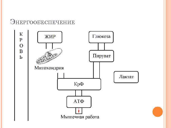 ЭНЕРГООБЕСПЕЧЕНИЕ 