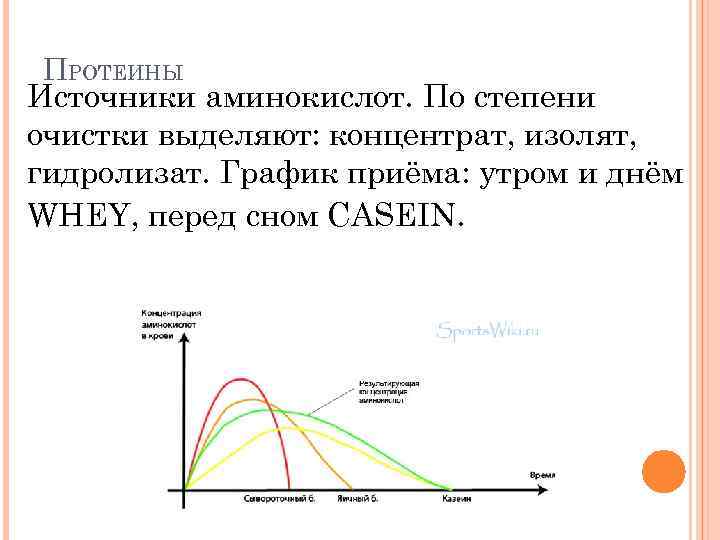 ПРОТЕИНЫ Источники аминокислот. По степени очистки выделяют: концентрат, изолят, гидролизат. График приёма: утром и
