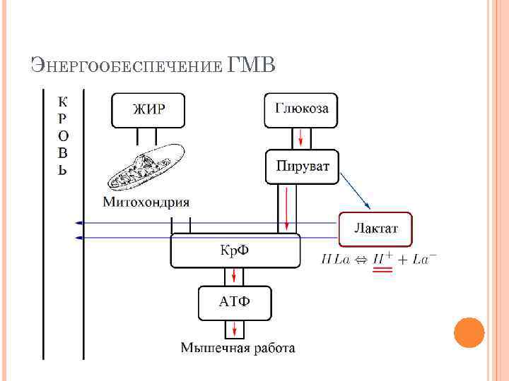 ЭНЕРГООБЕСПЕЧЕНИЕ ГМВ 