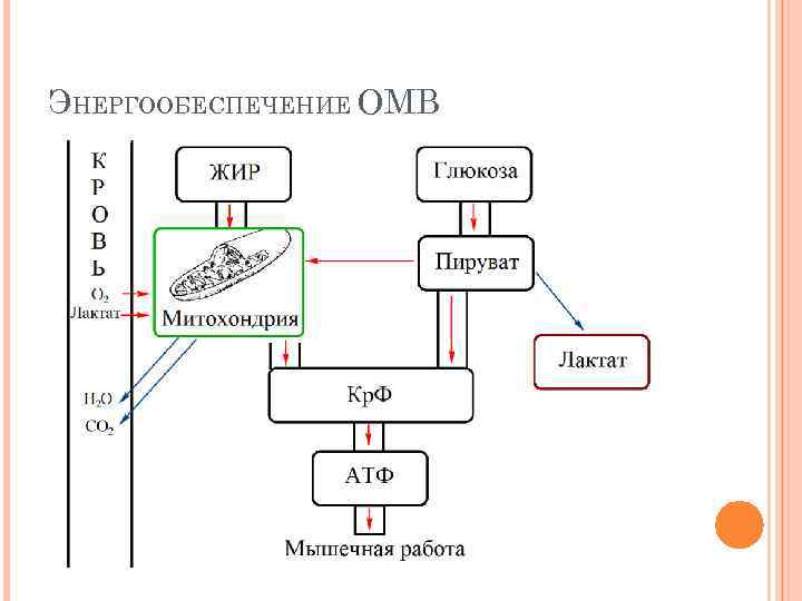 ЭНЕРГООБЕСПЕЧЕНИЕ ОМВ 
