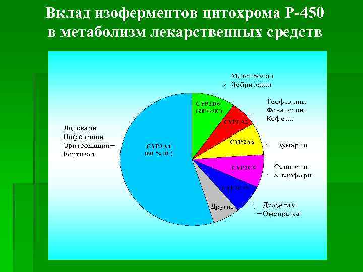 Вклад изоферментов цитохрома Р-450 в метаболизм лекарственных средств 