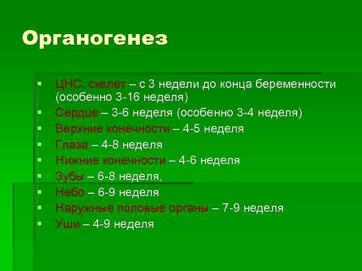 Органогенез § § § § § ЦНС, скелет – с 3 недели до конца