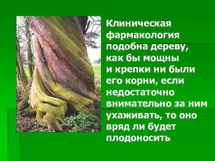 Клиническая фармакология подобна дереву, как бы мощны и крепки ни были его корни, если