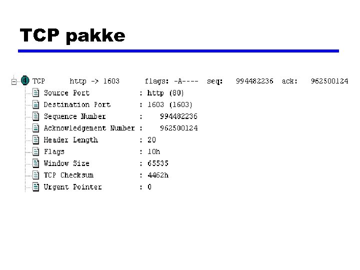 TCP pakke 