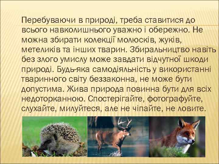 Перебуваючи в природі, треба ставитися до всього навколишнього уважно і обережно. Не можна збирати