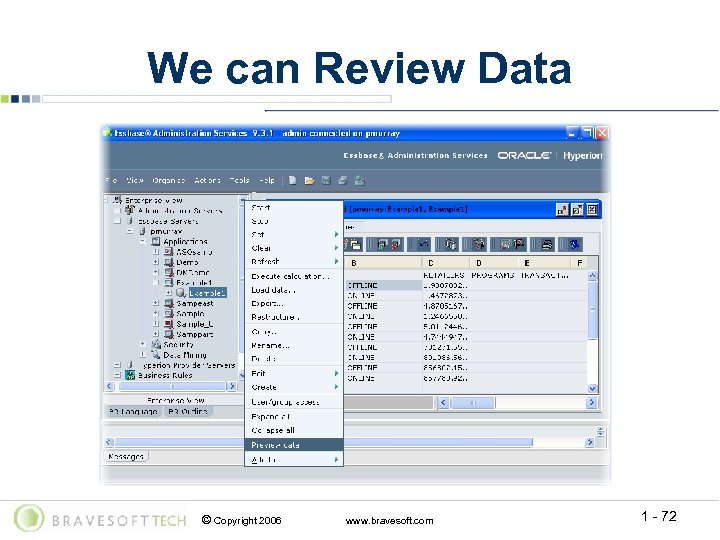 We can Review Data © Copyright 2006 www. bravesoft. com 1 - 72 