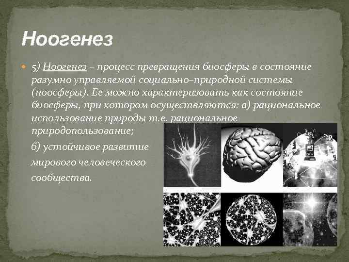 Ноогенез 5) Ноогенез – процесс превращения биосферы в состояние разумно управляемой социально–природной системы (ноосферы).