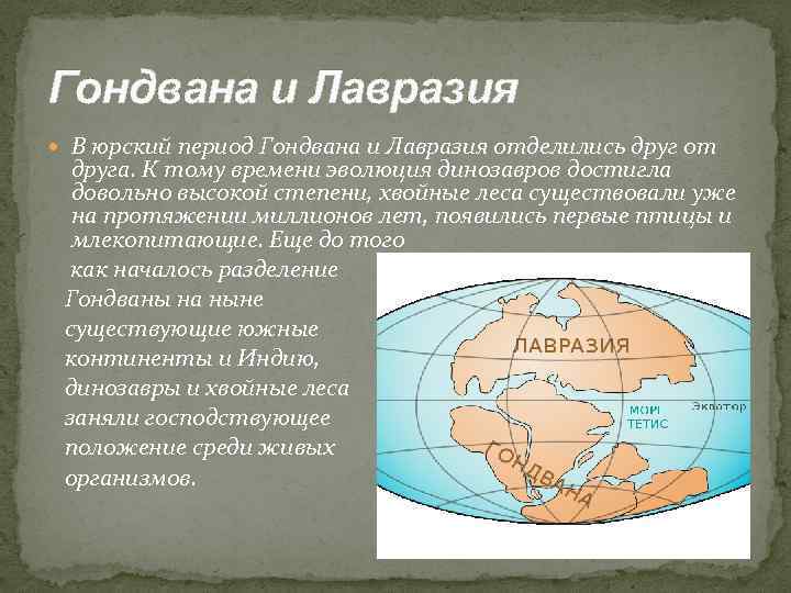 Гондвана и Лавразия В юрский период Гондвана и Лавразия отделились друг от друга. К