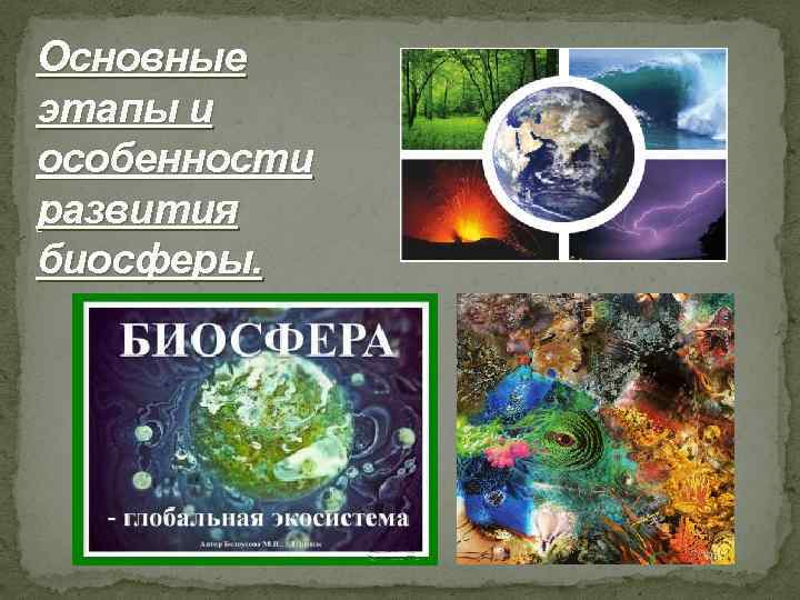 Основные этапы и особенности развития биосферы. 