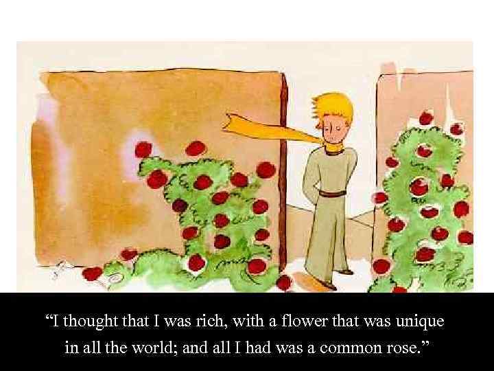 “I thought that I was rich, with a flower that was unique in all