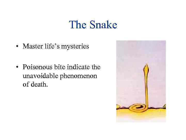 The Snake • Master life’s mysteries • Poisonous bite indicate the unavoidable phenomenon of