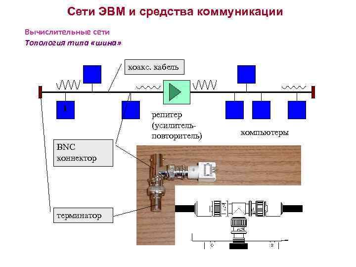 Сети ЭВМ и средства коммуникации Вычислительные сети Топология типа «шина» коакс. кабель 1 BNC