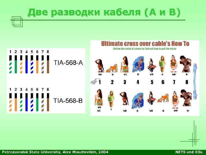 Две разводки кабеля (А и В) Petrozavodsk State University, Alex Moschevikin, 2004 NETS and