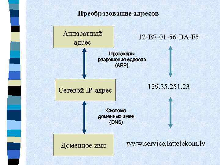 Преобразование адресов Аппаратный адрес 12 -B 7 -01 -56 -BA-F 5 Протоколы разрешения адресов