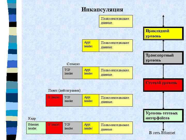 Инкапсуляция Пользовательские данные Прикладной уровень Appl header Пользовательские данные Транспортный уровень Сегмент TCP header