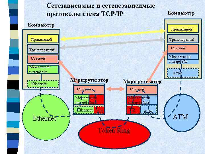 Сетезависимые и сетенезависимые протоколы стека TCP/IP Компьютер Прикладной Транспортный Сетевой Транспортный Межсетевой интерфейс Сетевой