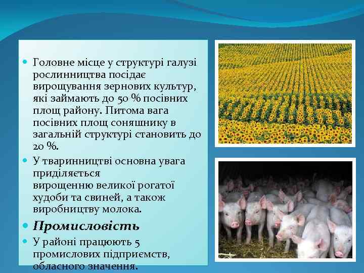  Головне місце у структурі галузі рослинництва посідає вирощування зернових культур, які займають до