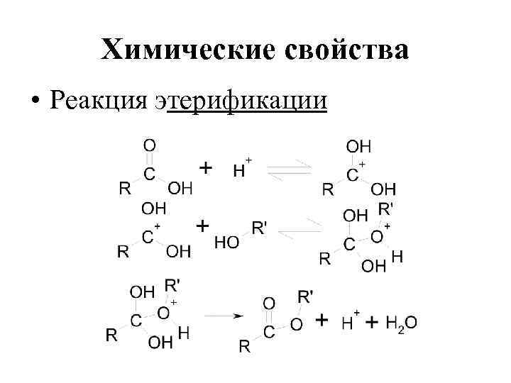 Химические свойства • Реакция этерификации 