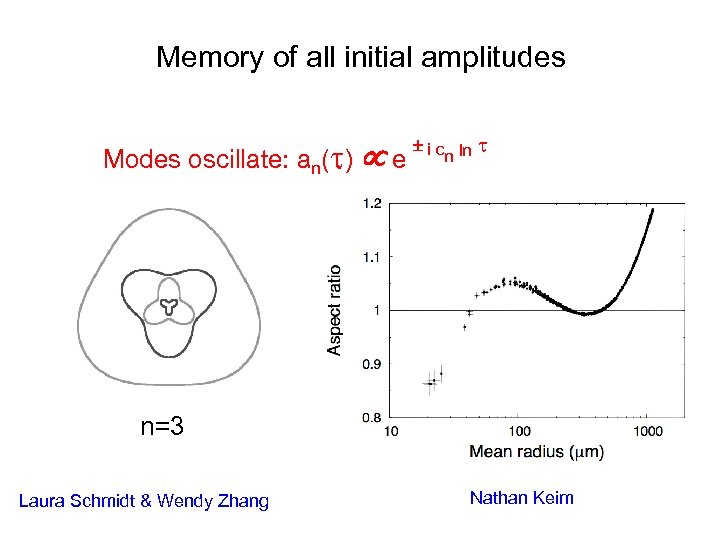 Memory of all initial amplitudes Modes oscillate: an( ) e i c ln n