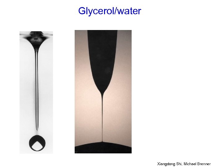 Glycerol/water Xiangdong Shi, Michael Brenner 