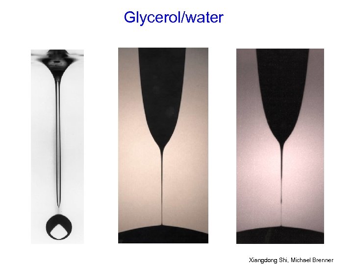 Glycerol/water Xiangdong Shi, Michael Brenner 