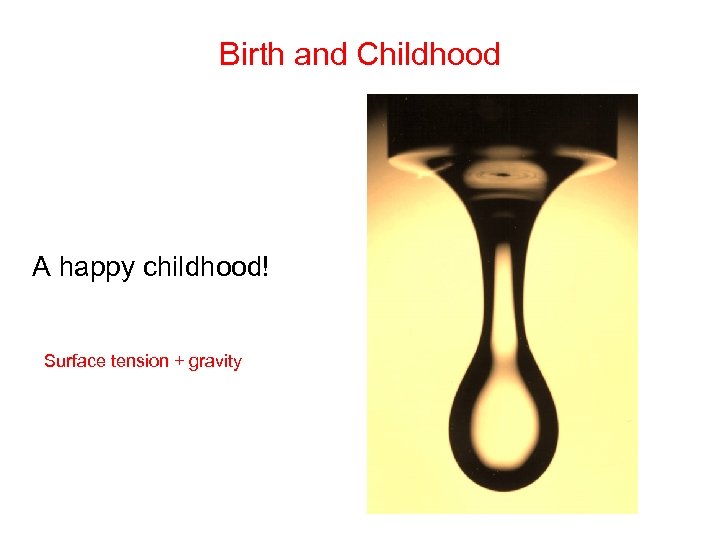 Birth and Childhood A happy childhood! Surface tension + gravity 