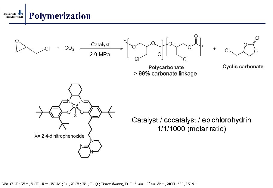 Polymerization 2. 0 MPa Catalyst / cocatalyst / epichlorohydrin 1/1/1000 (molar ratio) Wu, G.